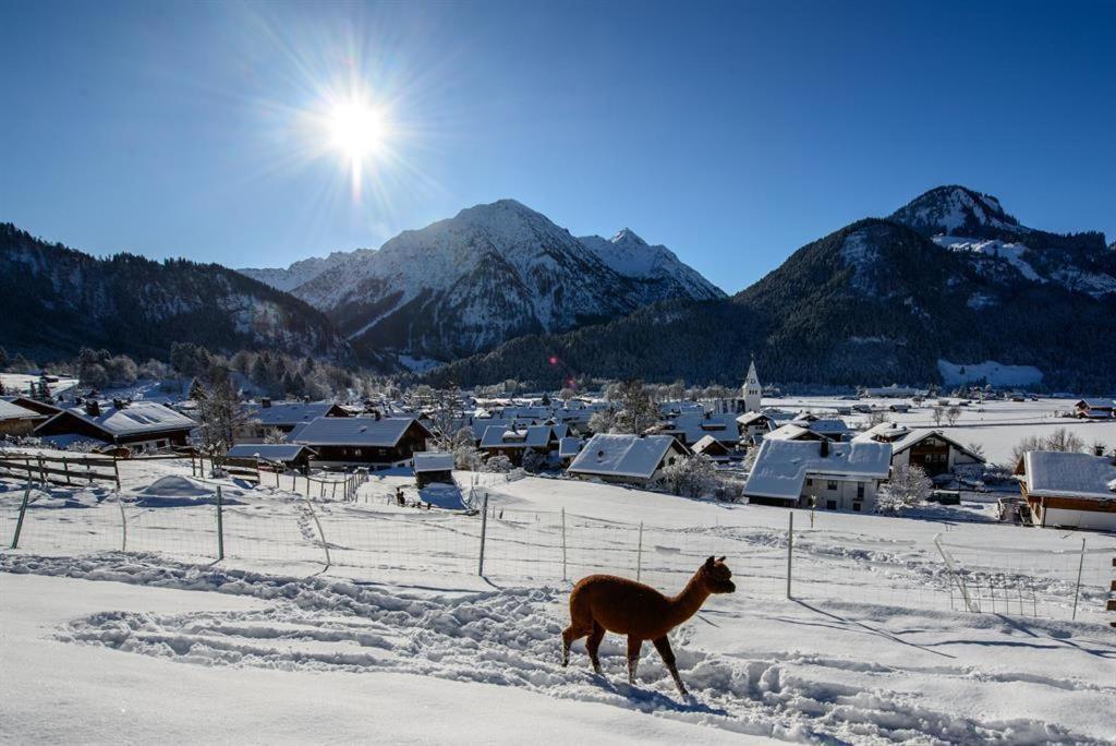 Alpakahof Wechs Farm stay *