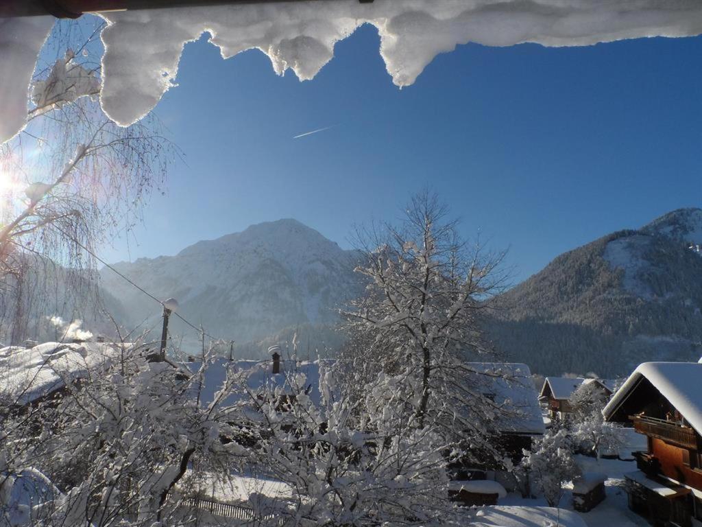 Alpakahof Wechs Farm stay Bad Hindelang