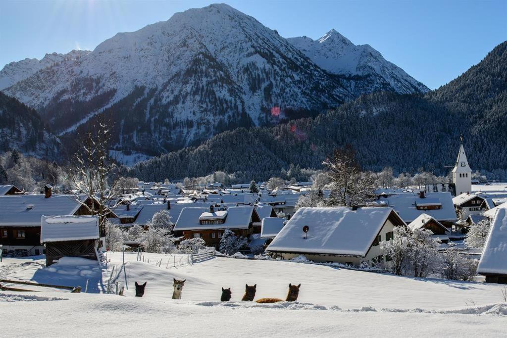 Alpakahof Wechs Farm stay